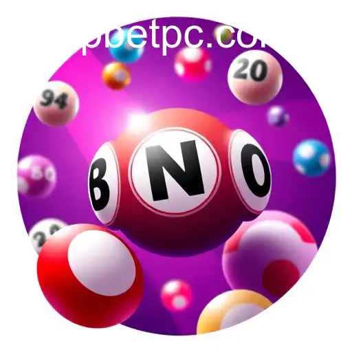 Exploring Online Bingo with XP Bet